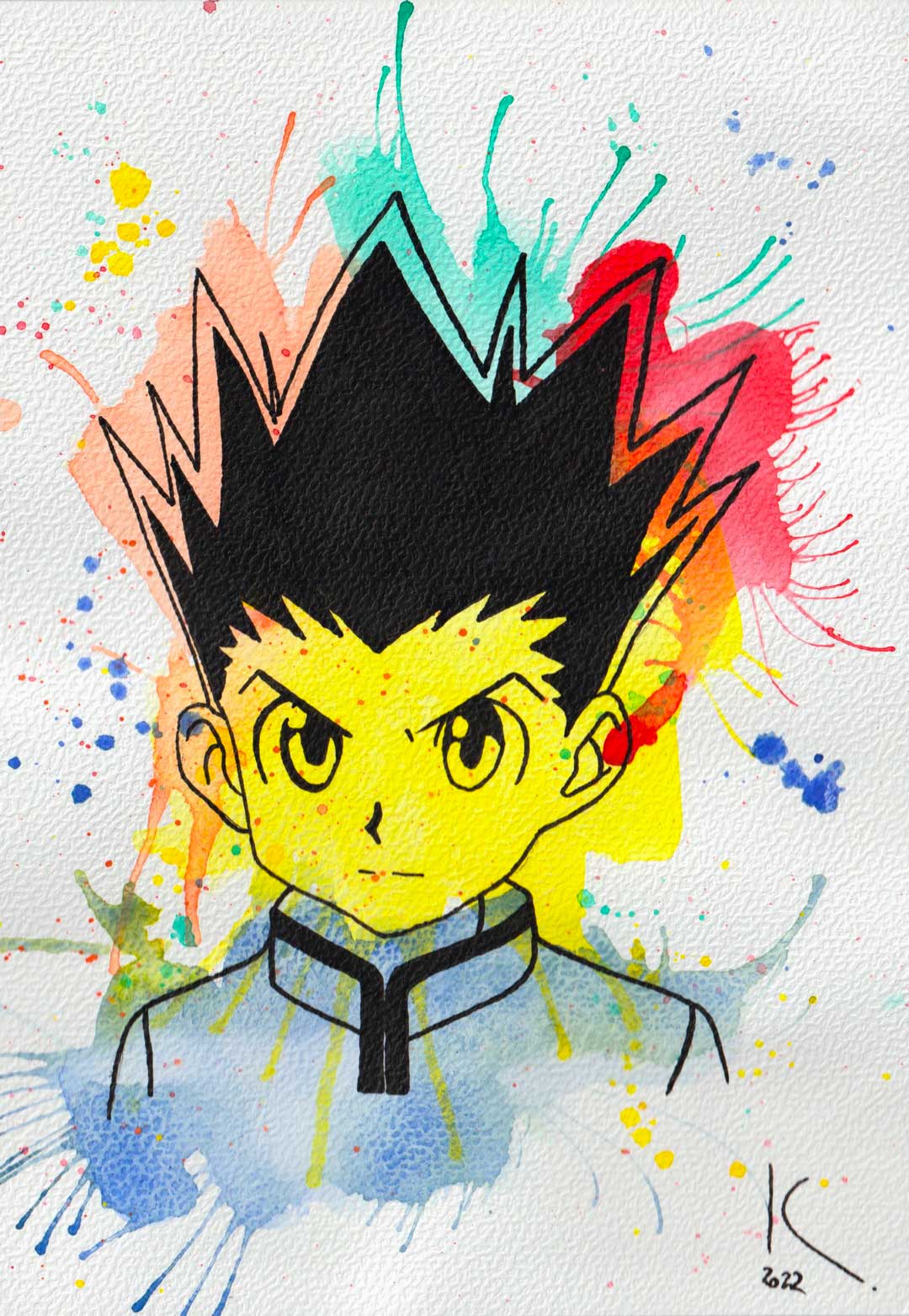 Hunter x Hunter Gon Freecss